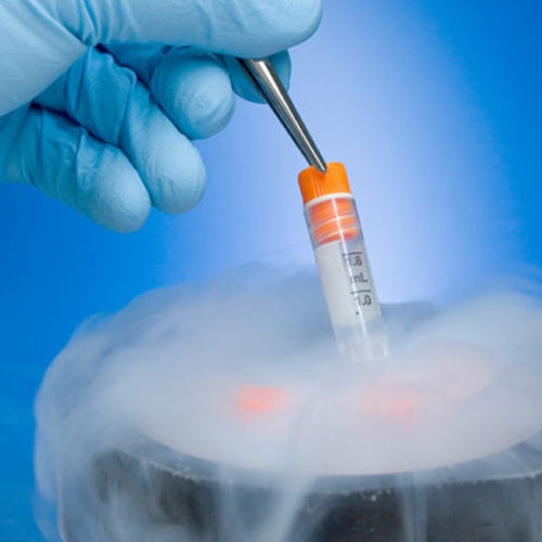 Egg Freezing (Oocyte Cryopreservation) in Ina Colony